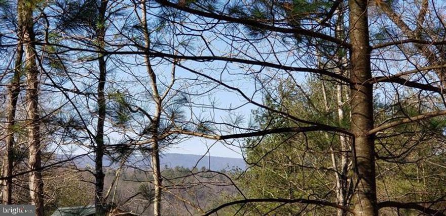 Private lot on Bryce Resort with potential for Lovely Mountain Views and it's close to all amenities. Slightly sloping lot is perfect for a home with a walk-out basement!