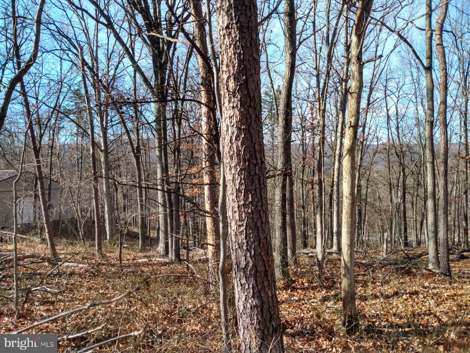 NONE AVAILABLE - Land