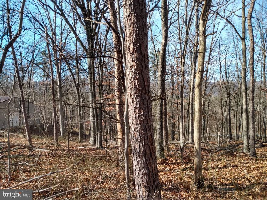 2 Acres and Unrestricted, Wooded, building lot south of Berkeley Springs located along a small black top county road. 1/2 hour to Winchester VA for an easy commute. For outdoor recreation, close to the Cacapon State Park and Sleepy Creek WMA.  Take a look today before it's too late.