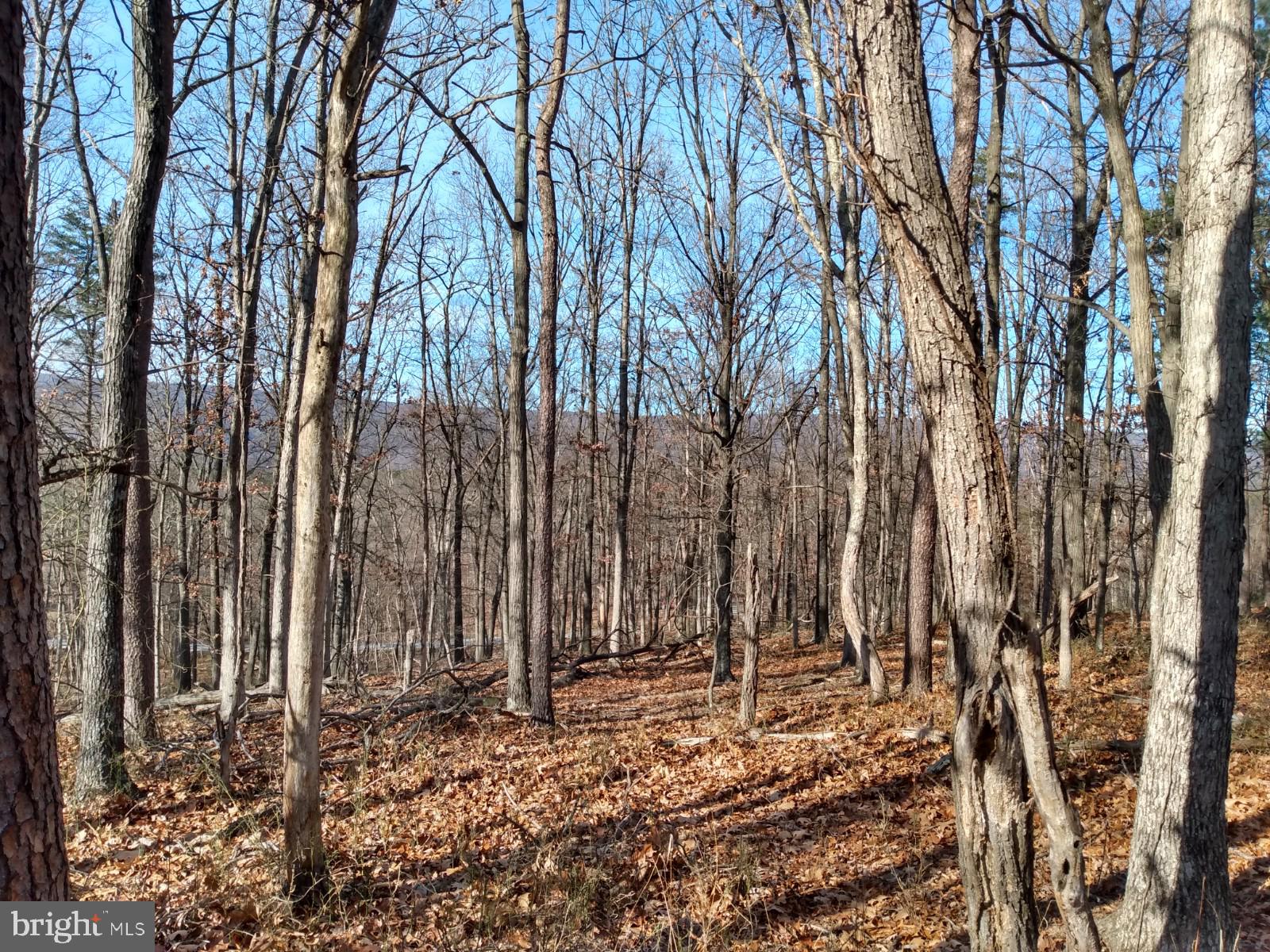 NONE AVAILABLE - Land