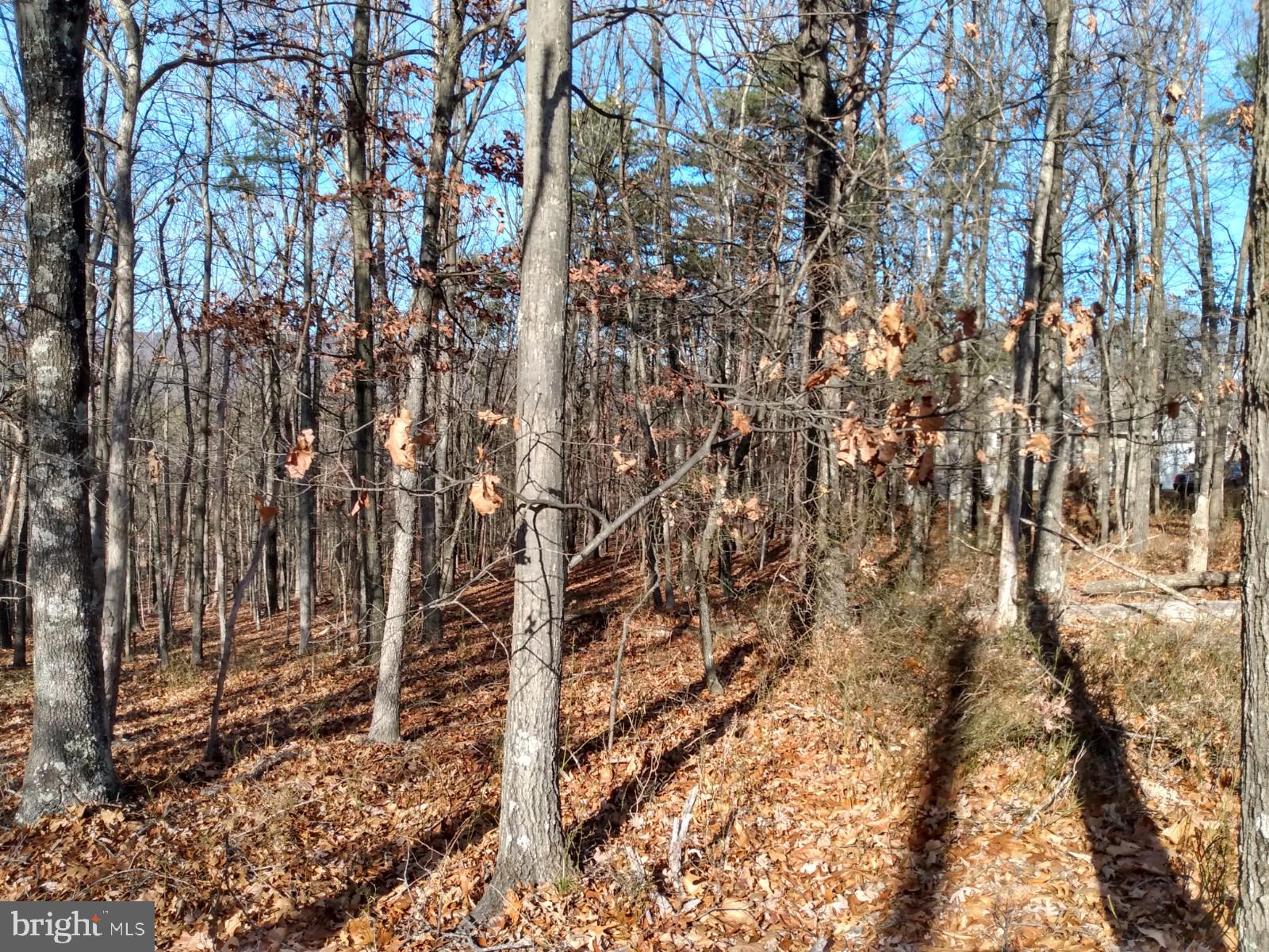 NONE AVAILABLE - Land