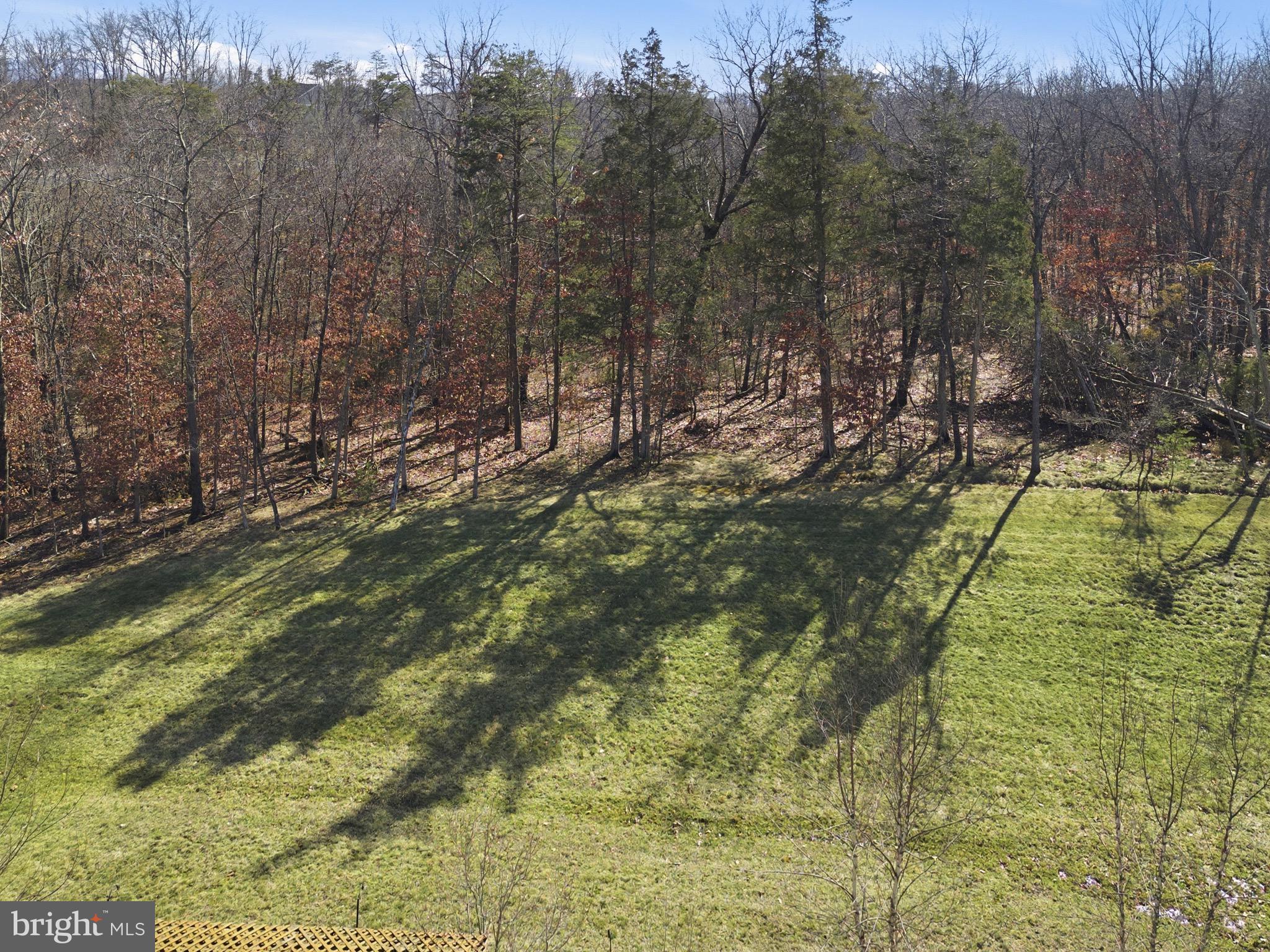 SHENANDOAH - Residential