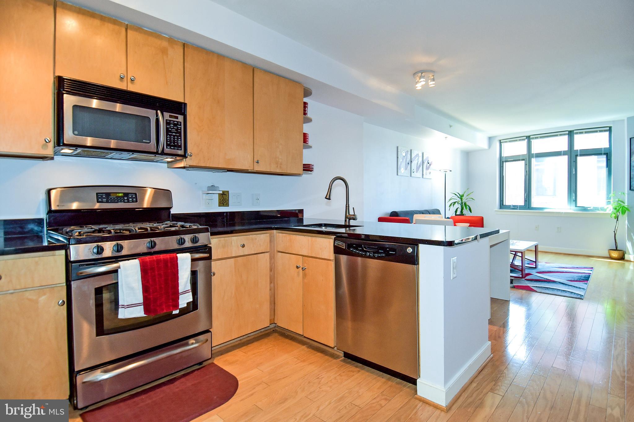 1117 10TH STREET NW 912