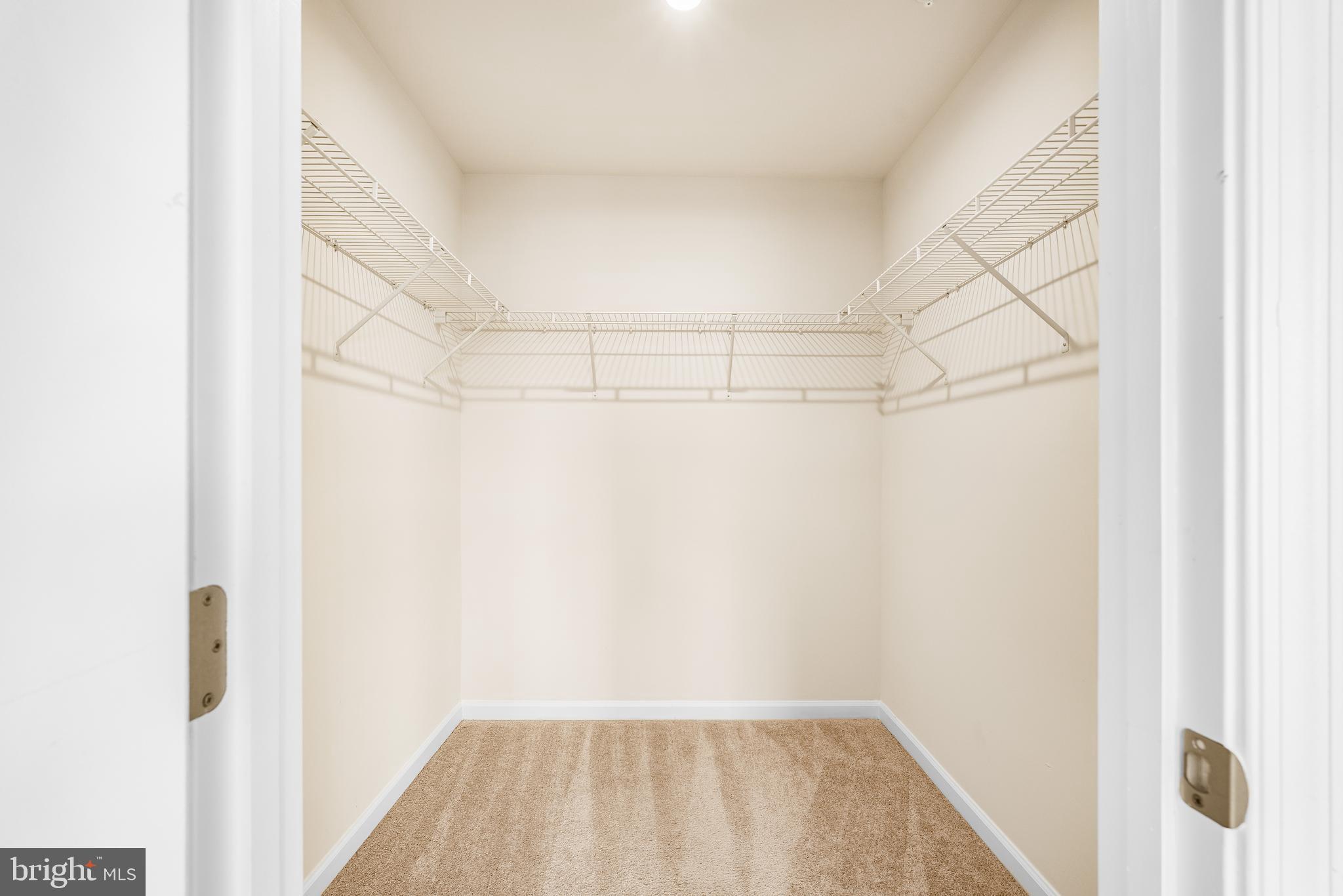 RIDGELY FOREST - Residential