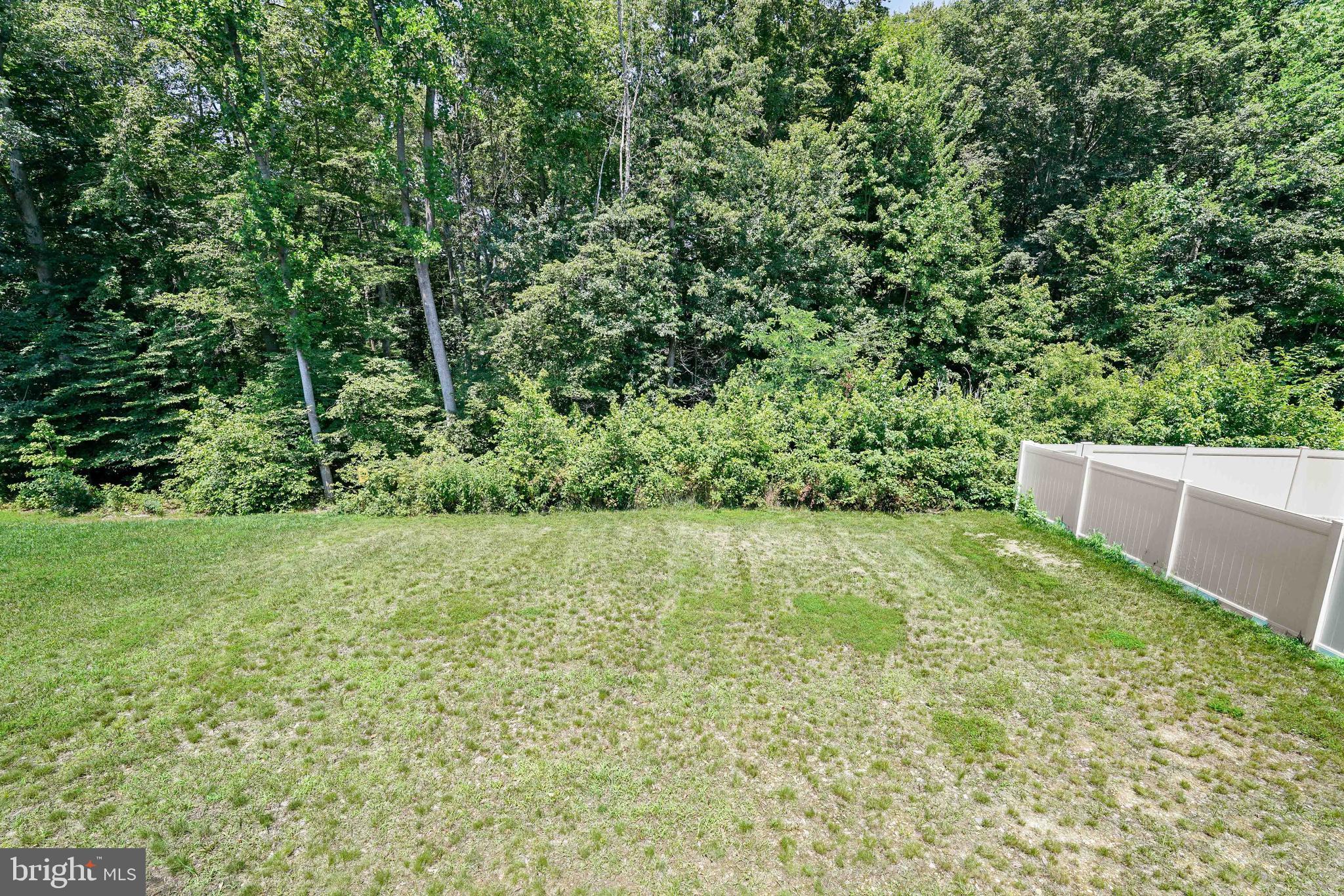 RIDGELY FOREST - Residential