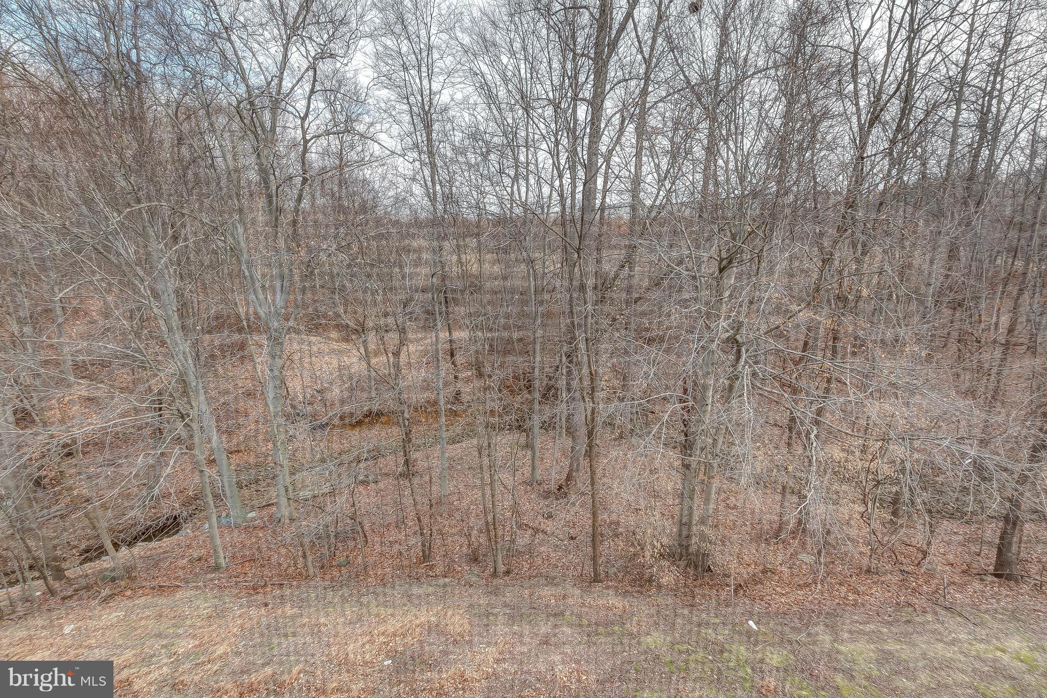 ENGLISH COUNTRY MANOR - Residential