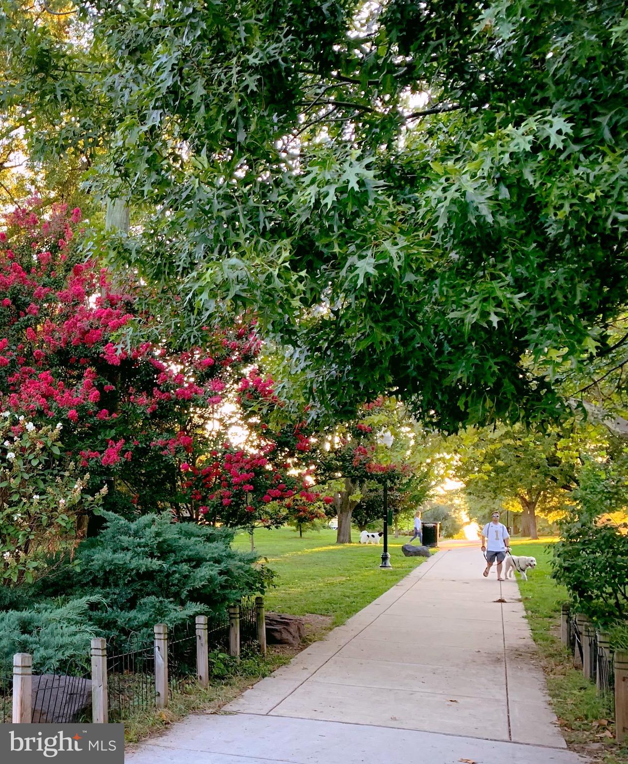 FEDERAL HILL HISTORIC DISTRICT - Residential Lease