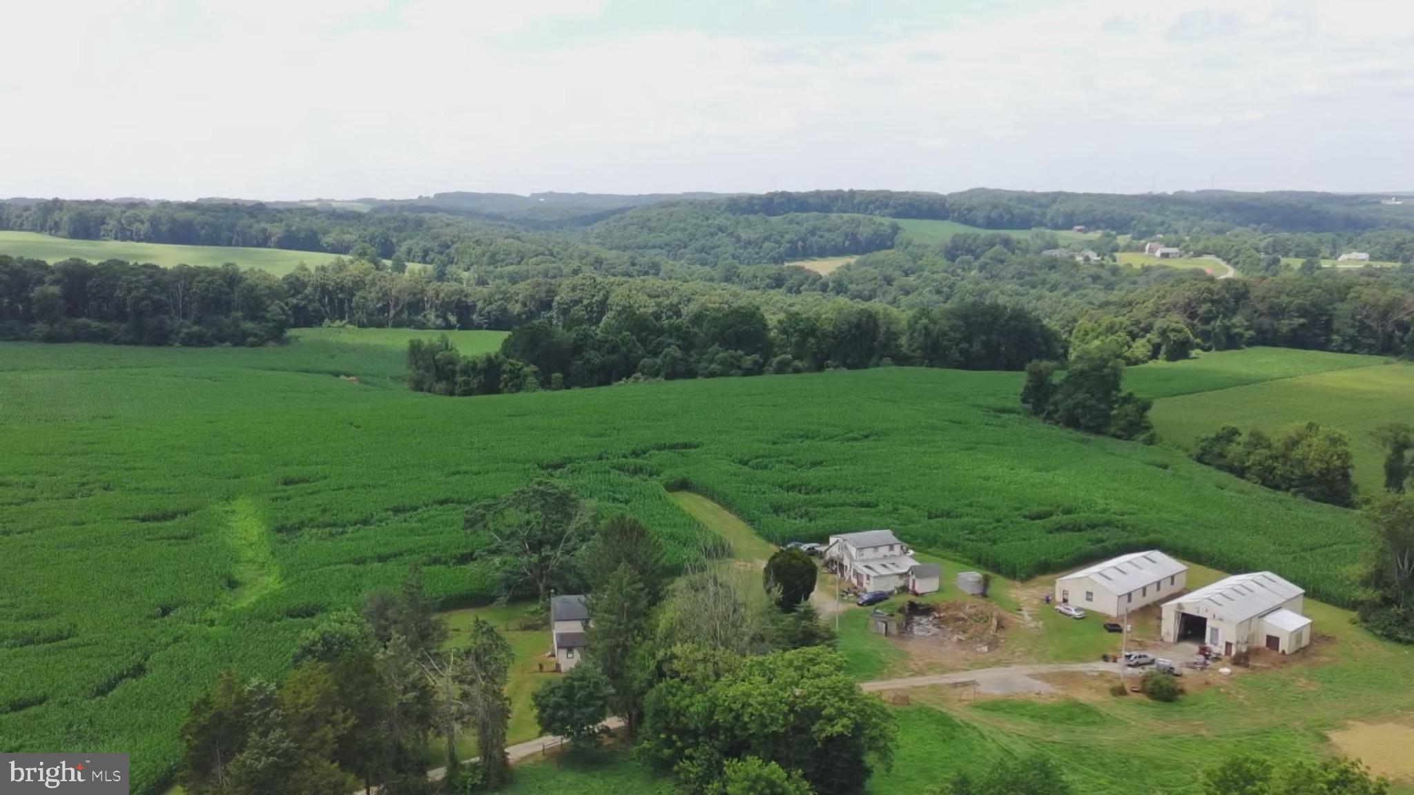 NONE AVAILABLE - Farm