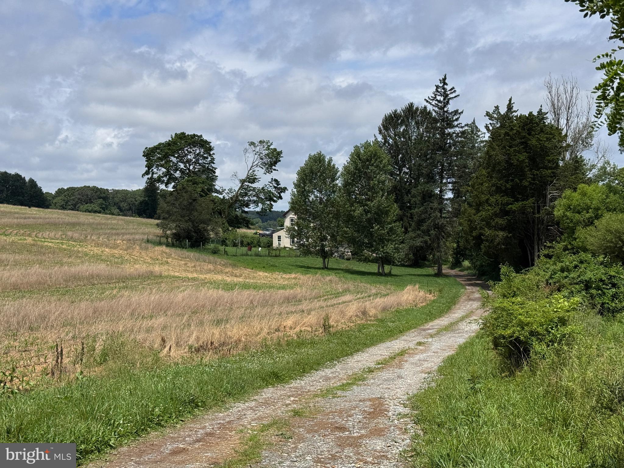 NONE AVAILABLE - Farm