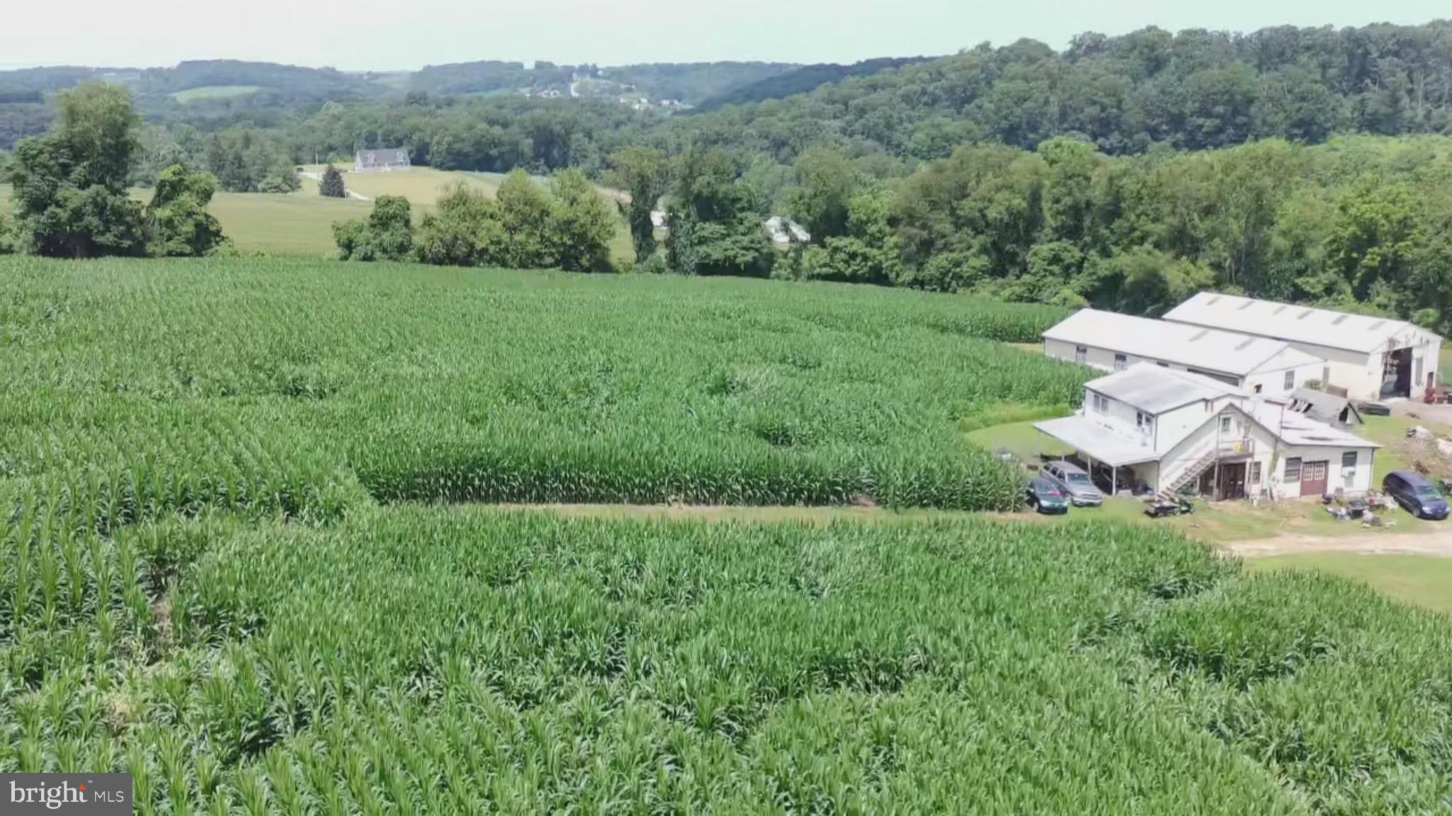 NONE AVAILABLE - Farm