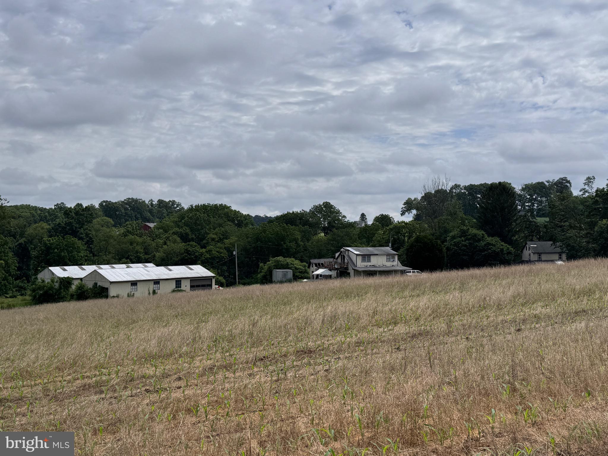 NONE AVAILABLE - Farm