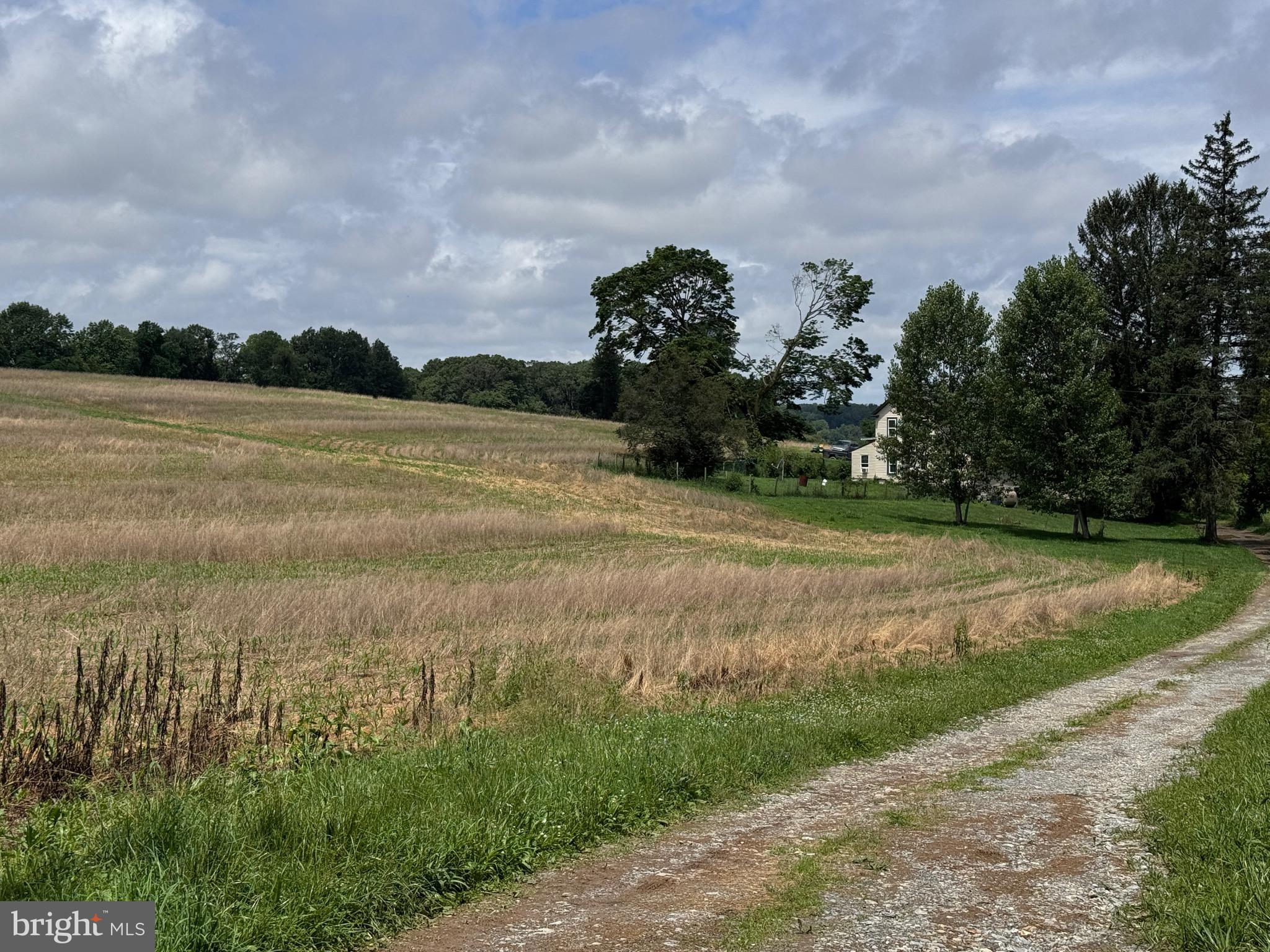 NONE AVAILABLE - Farm