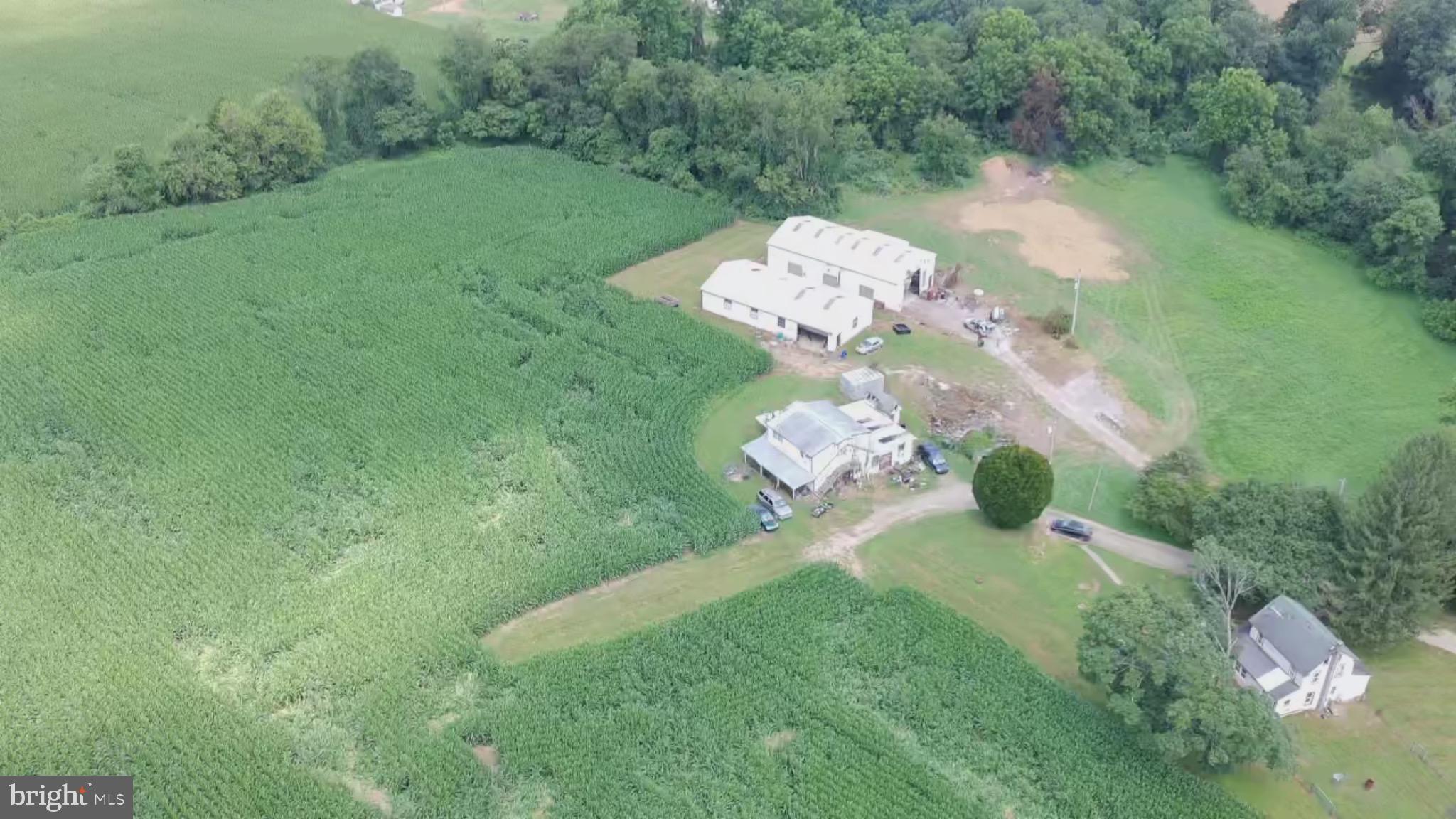 NONE AVAILABLE - Farm