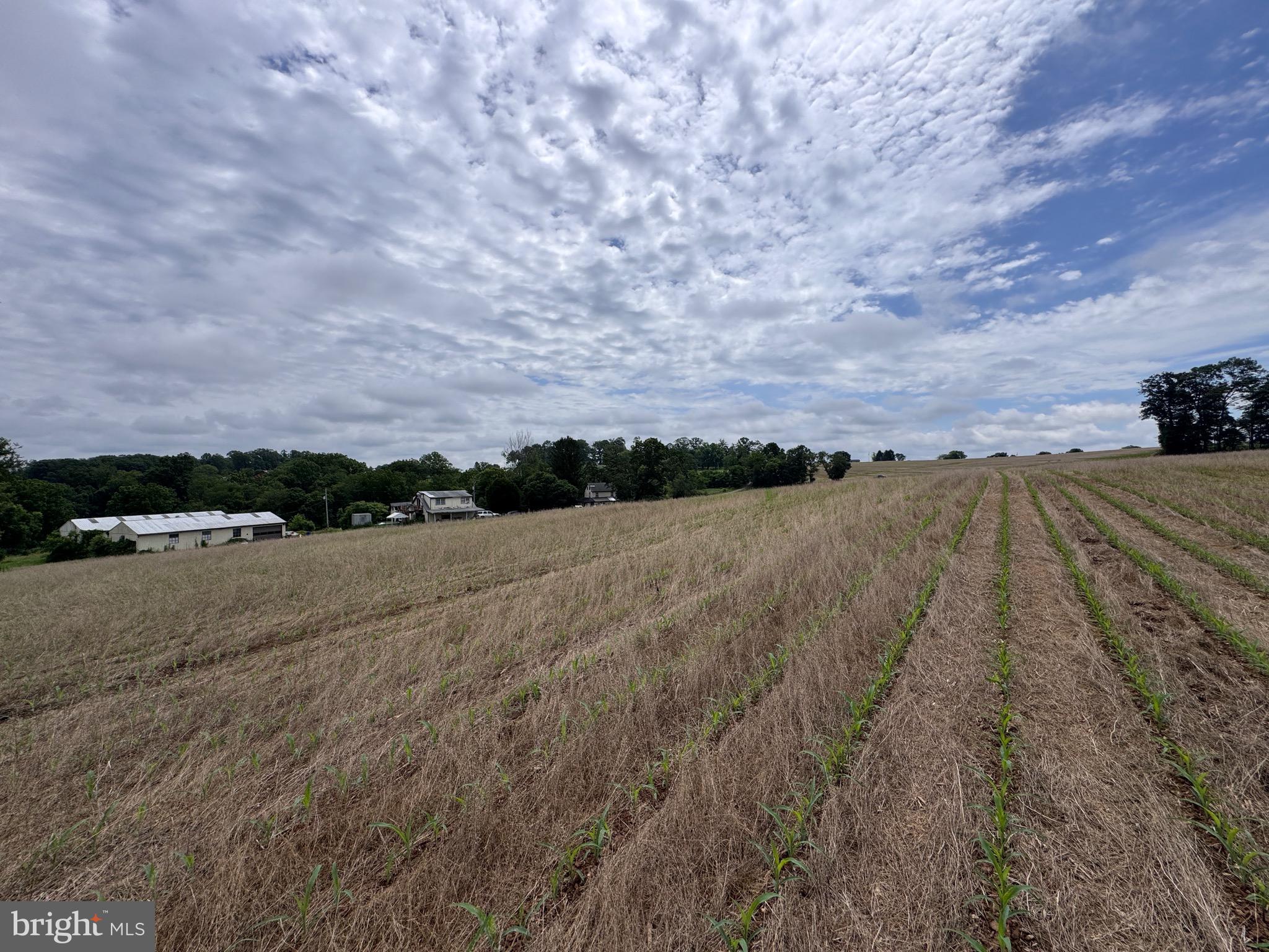 NONE AVAILABLE - Farm