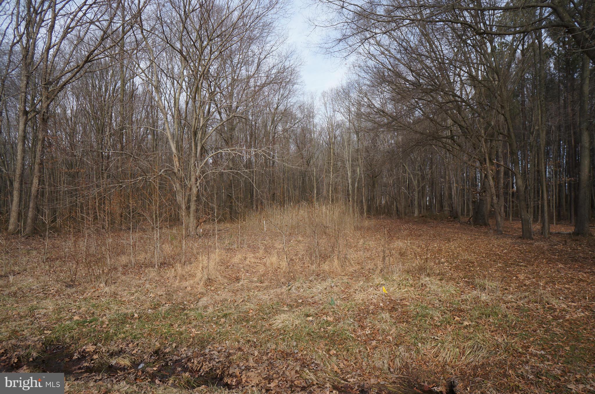 NONE AVAILABLE - Land