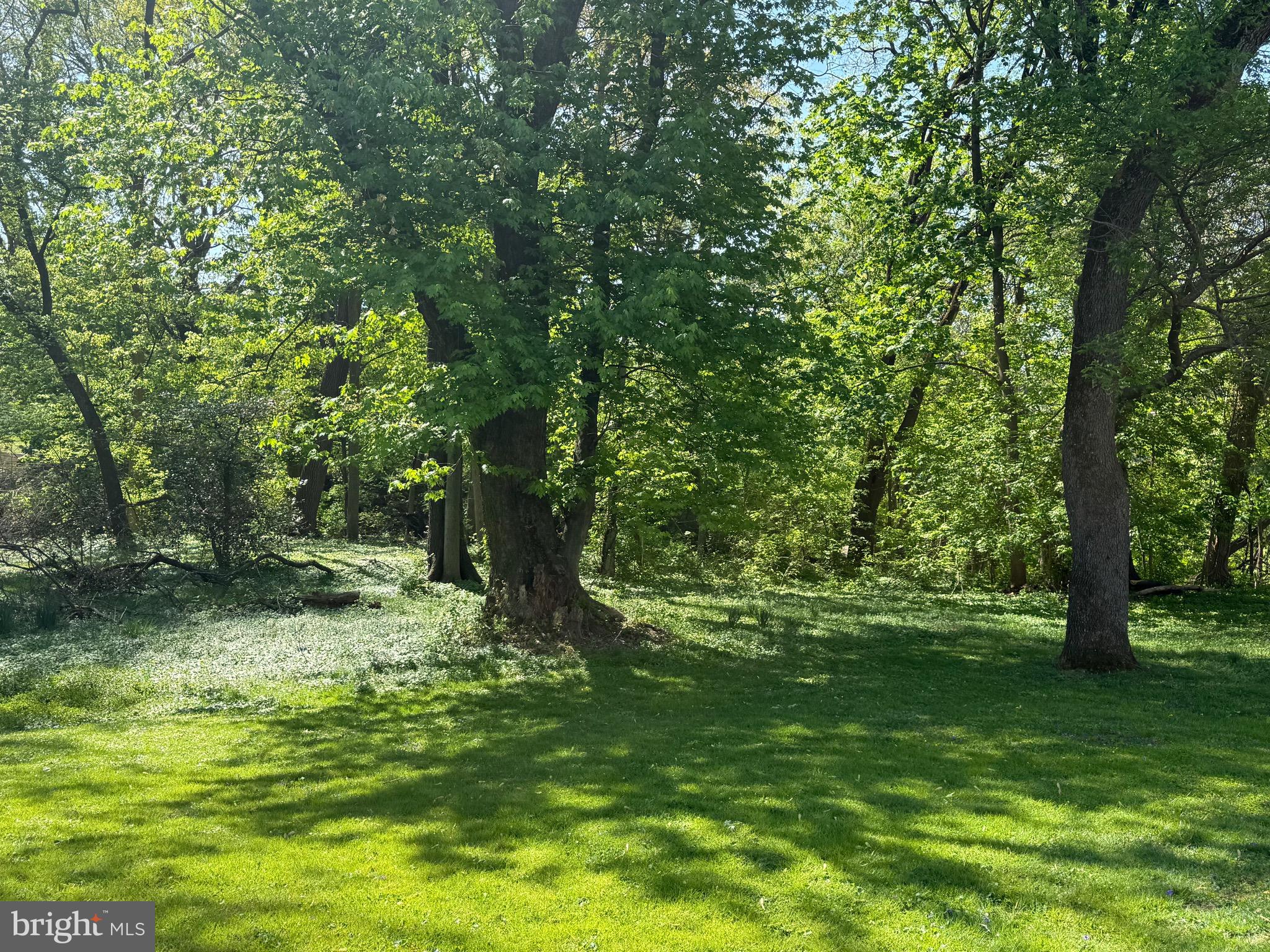 CHELTENHAM VIL - Residential Income