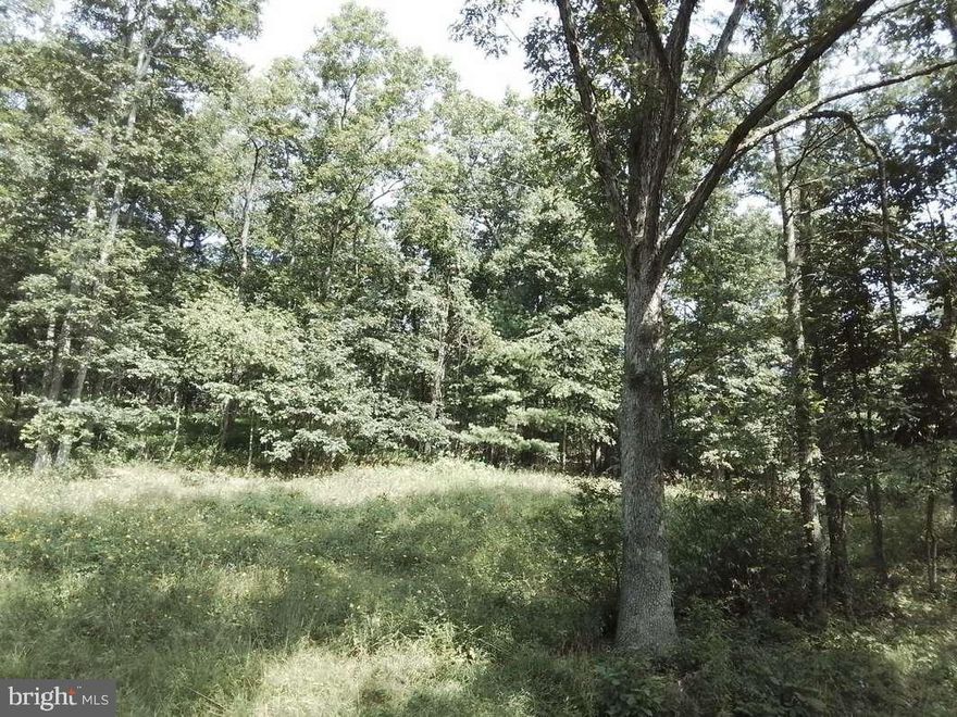 6.18 wooded acres with public road frontage.  Conveniently located near I-68.  Live in country seclusion but be within easy commuting distance from shopping or employment.