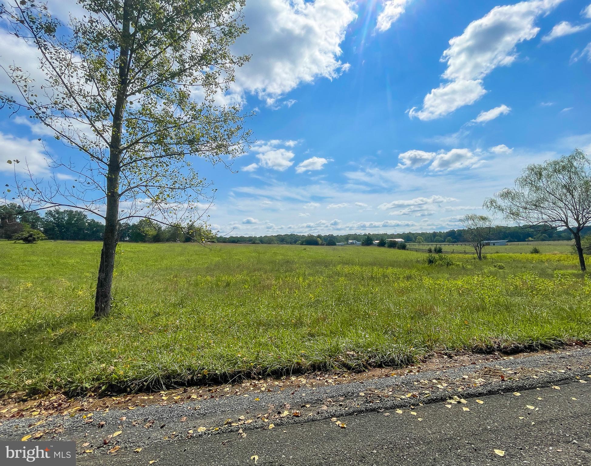 RAPIDAN FARMS - Land