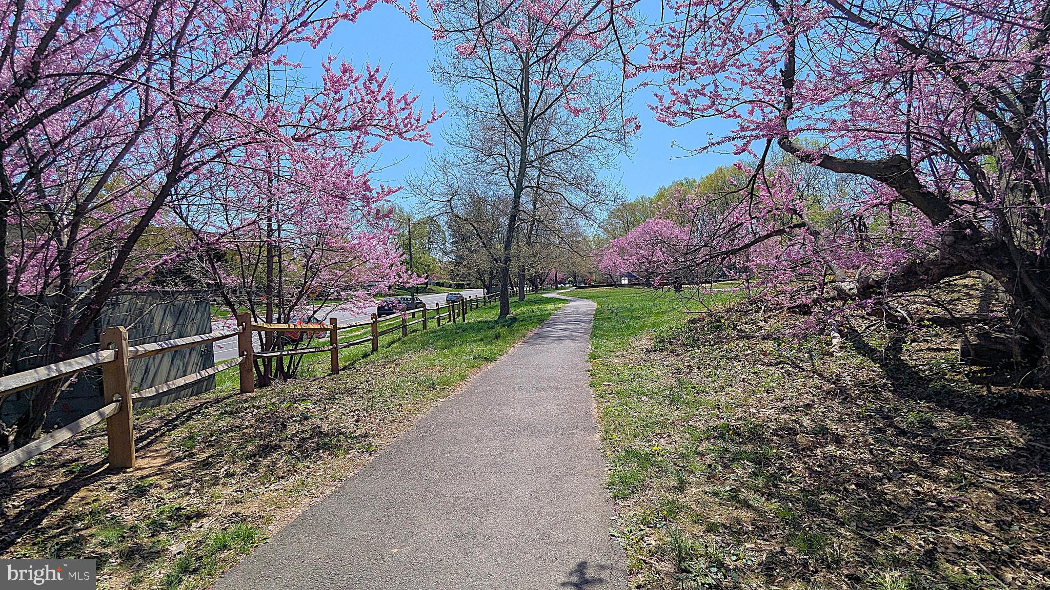 CHERRYWOOD SQUARE - Residential