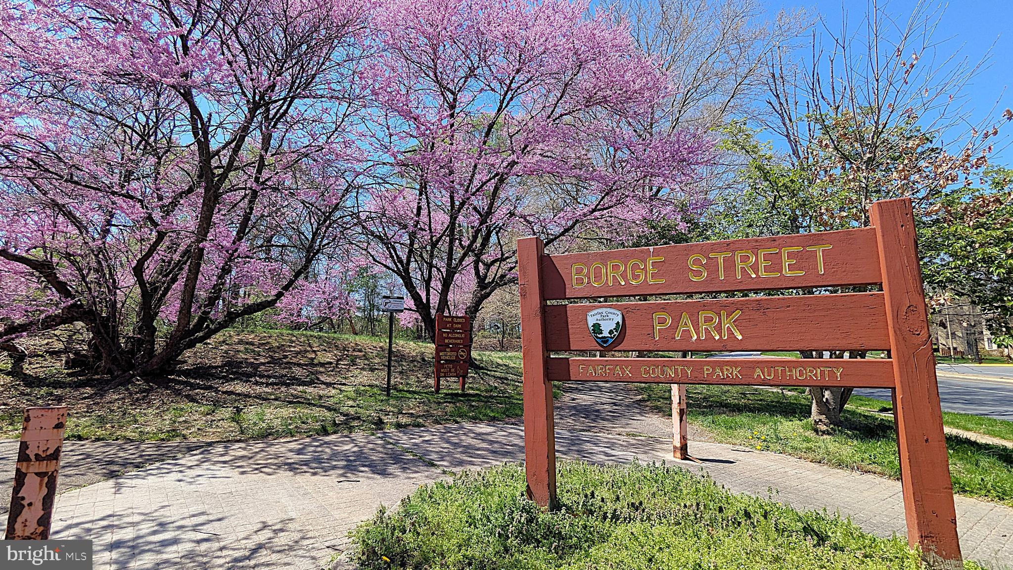 CHERRYWOOD SQUARE - Residential