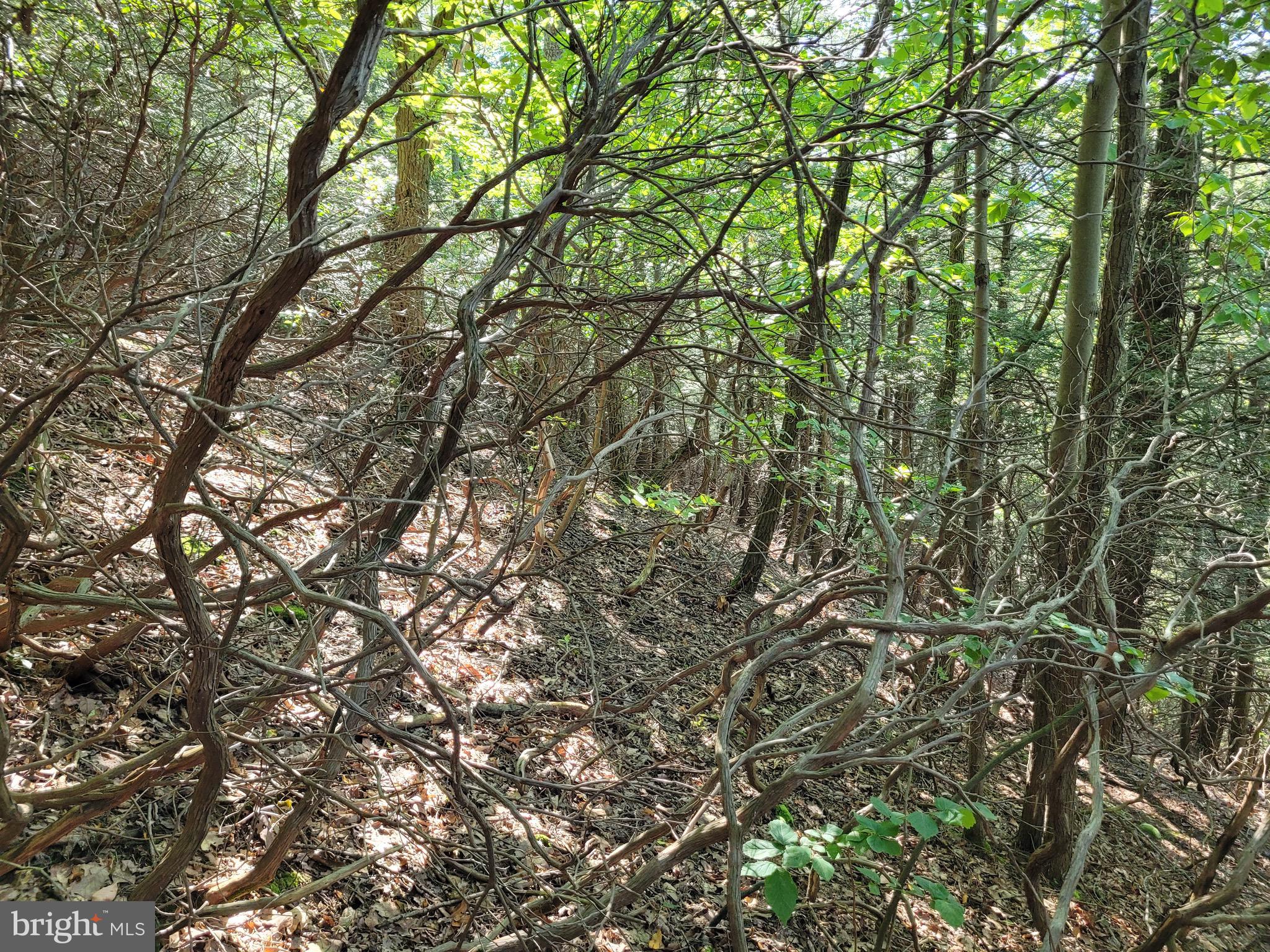 LOT 89 RIDGE RUN