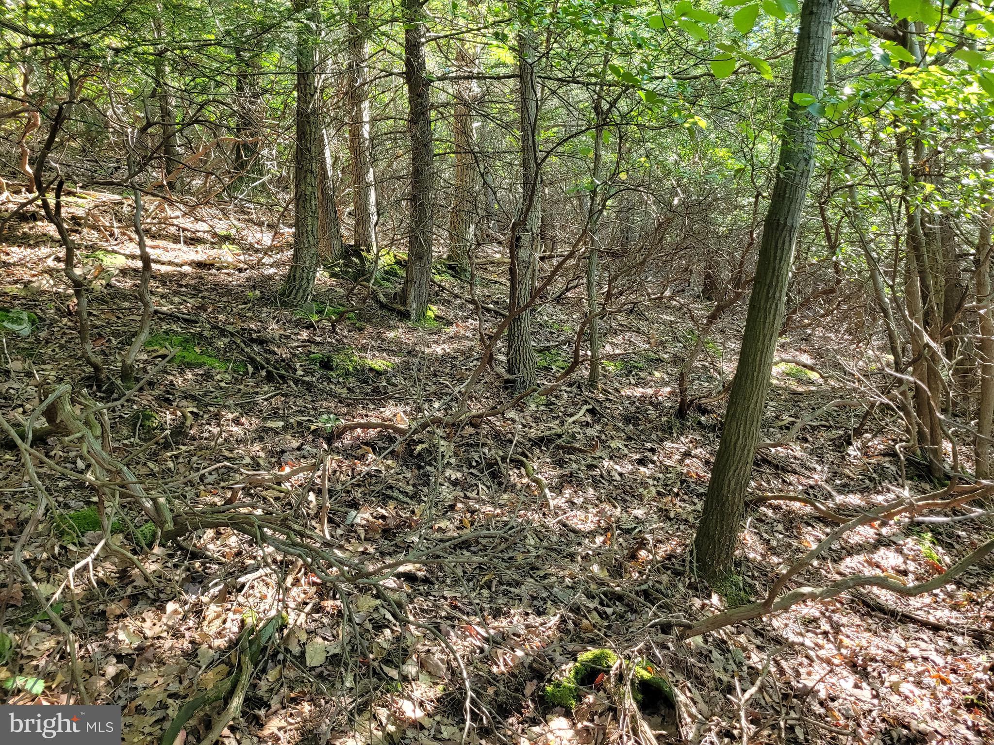 LOT 89 RIDGE RUN
