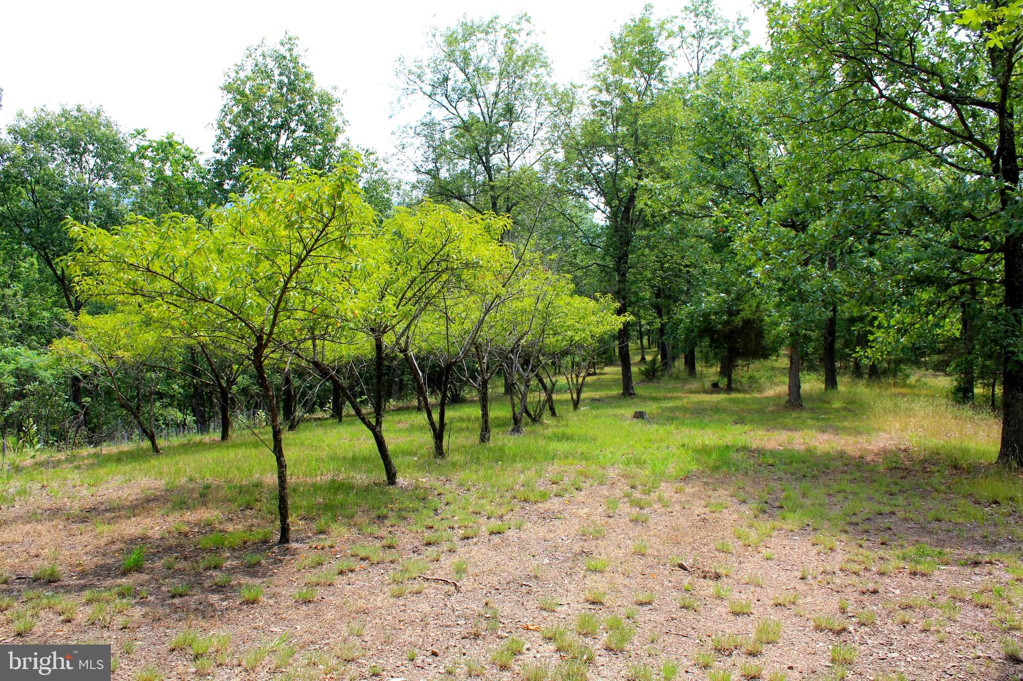 FAIRVIEW - Residential