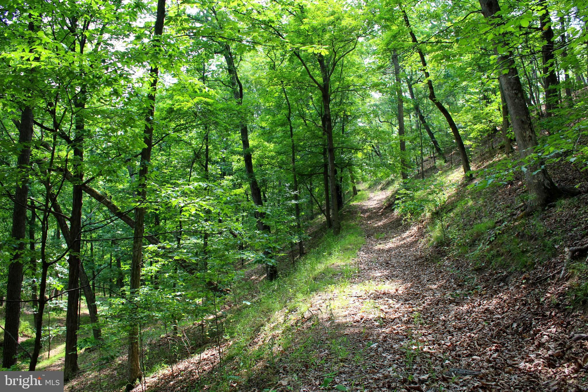 FAIRVIEW - Residential