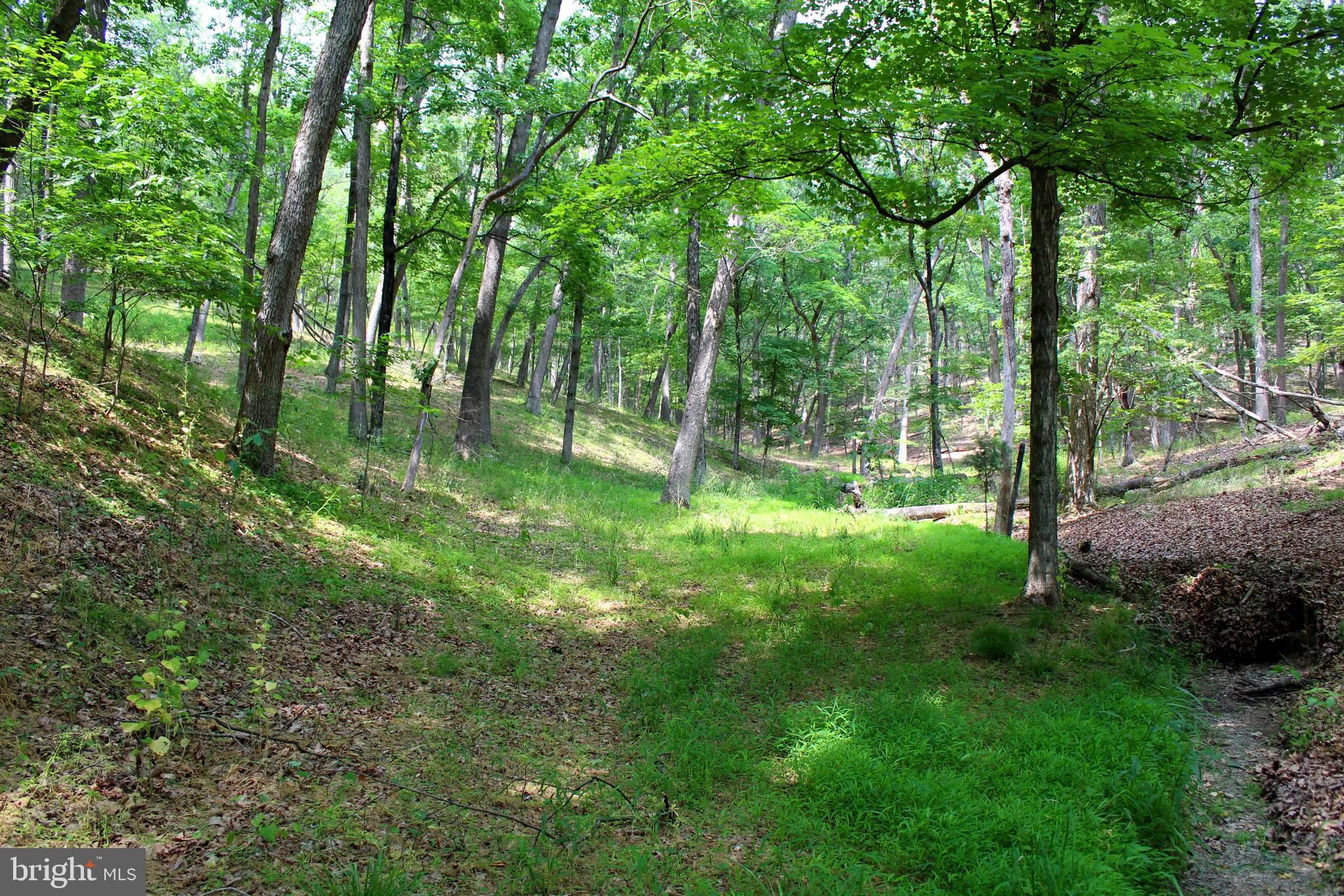 FAIRVIEW - Residential