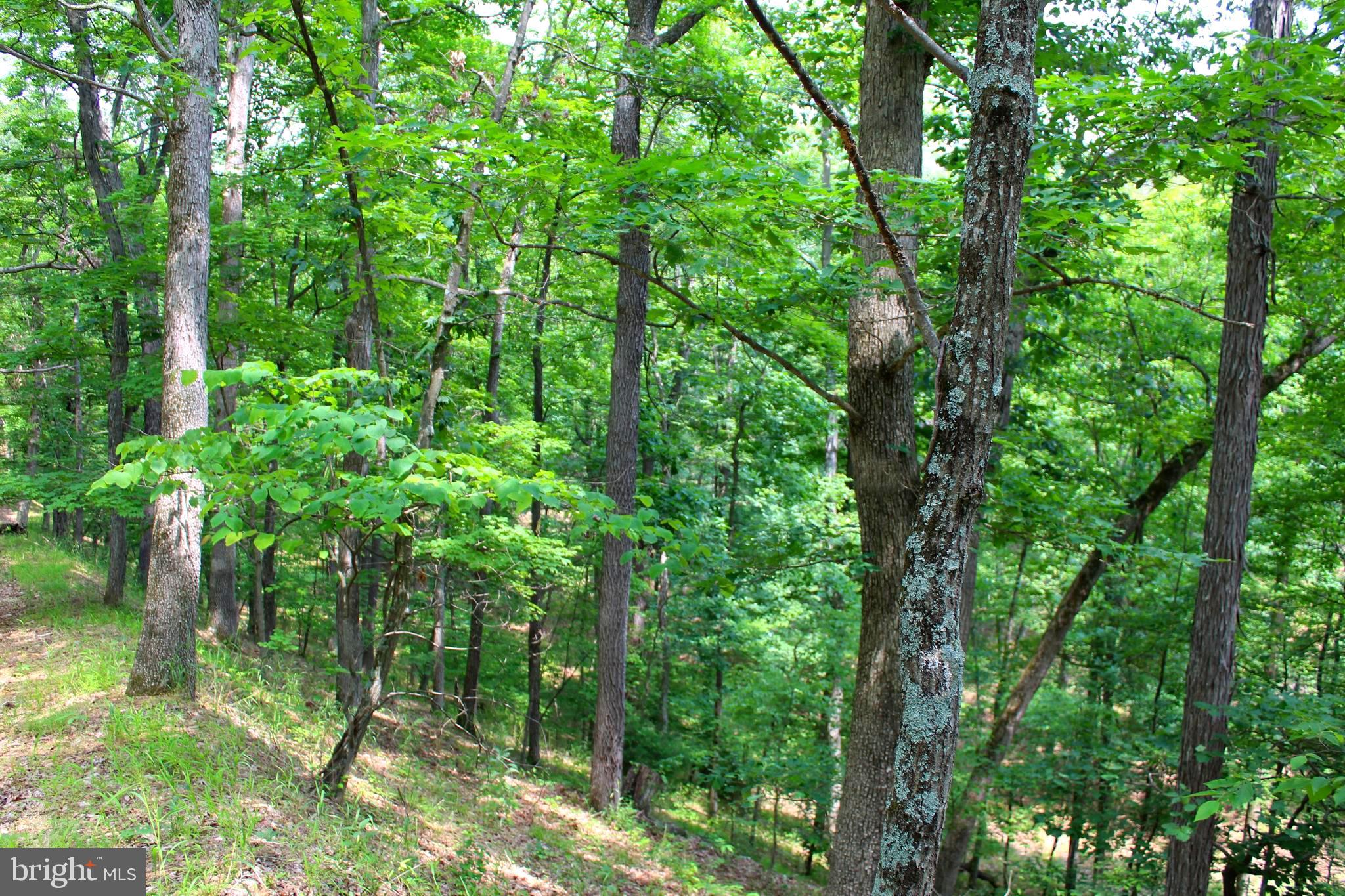 FAIRVIEW - Residential