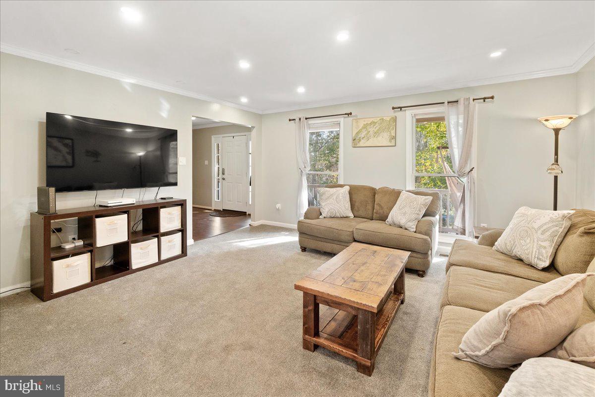 THE MEADOWS - Residential