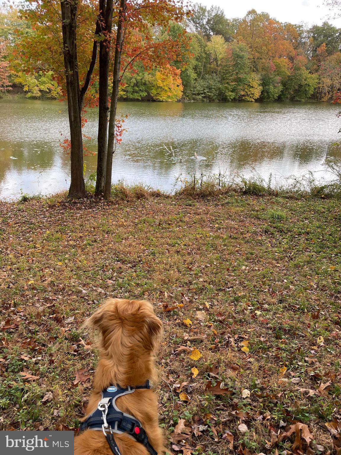 THE MEADOWS - Residential