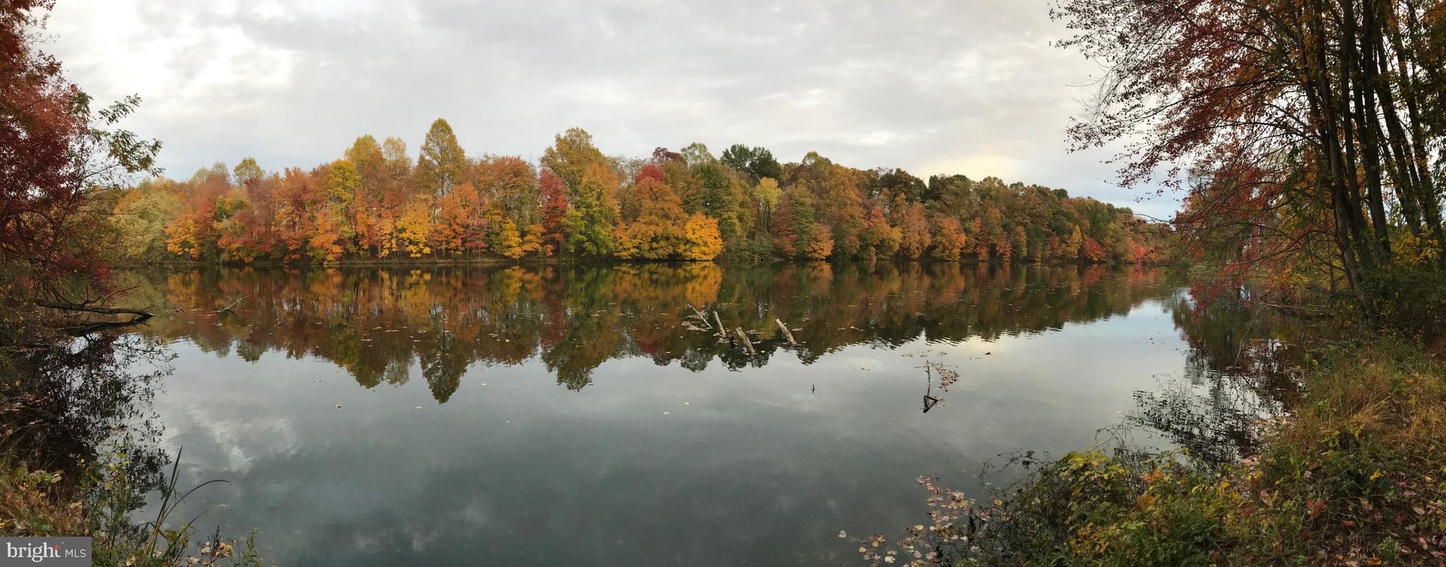THE MEADOWS - Residential