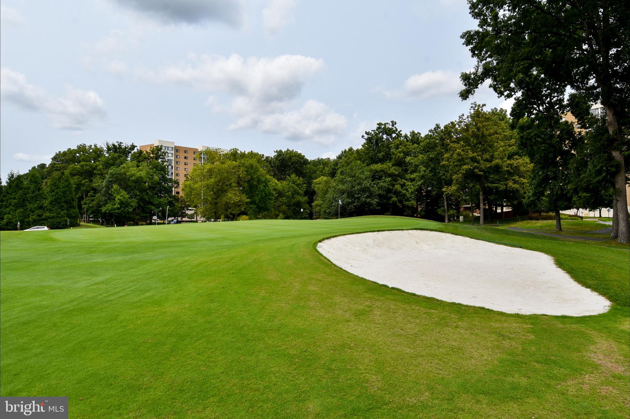 GREENS AT LEISURE WORLD - Residential