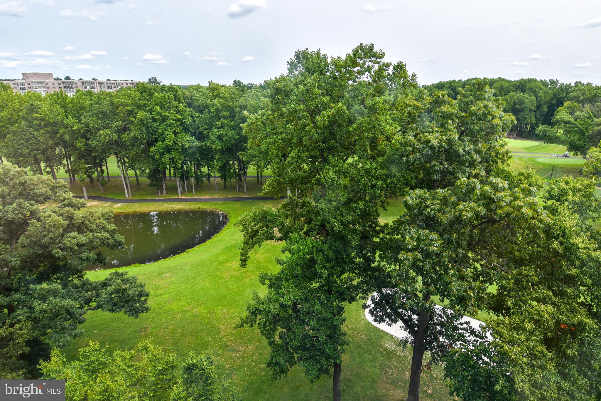 GREENS AT LEISURE WORLD - Residential