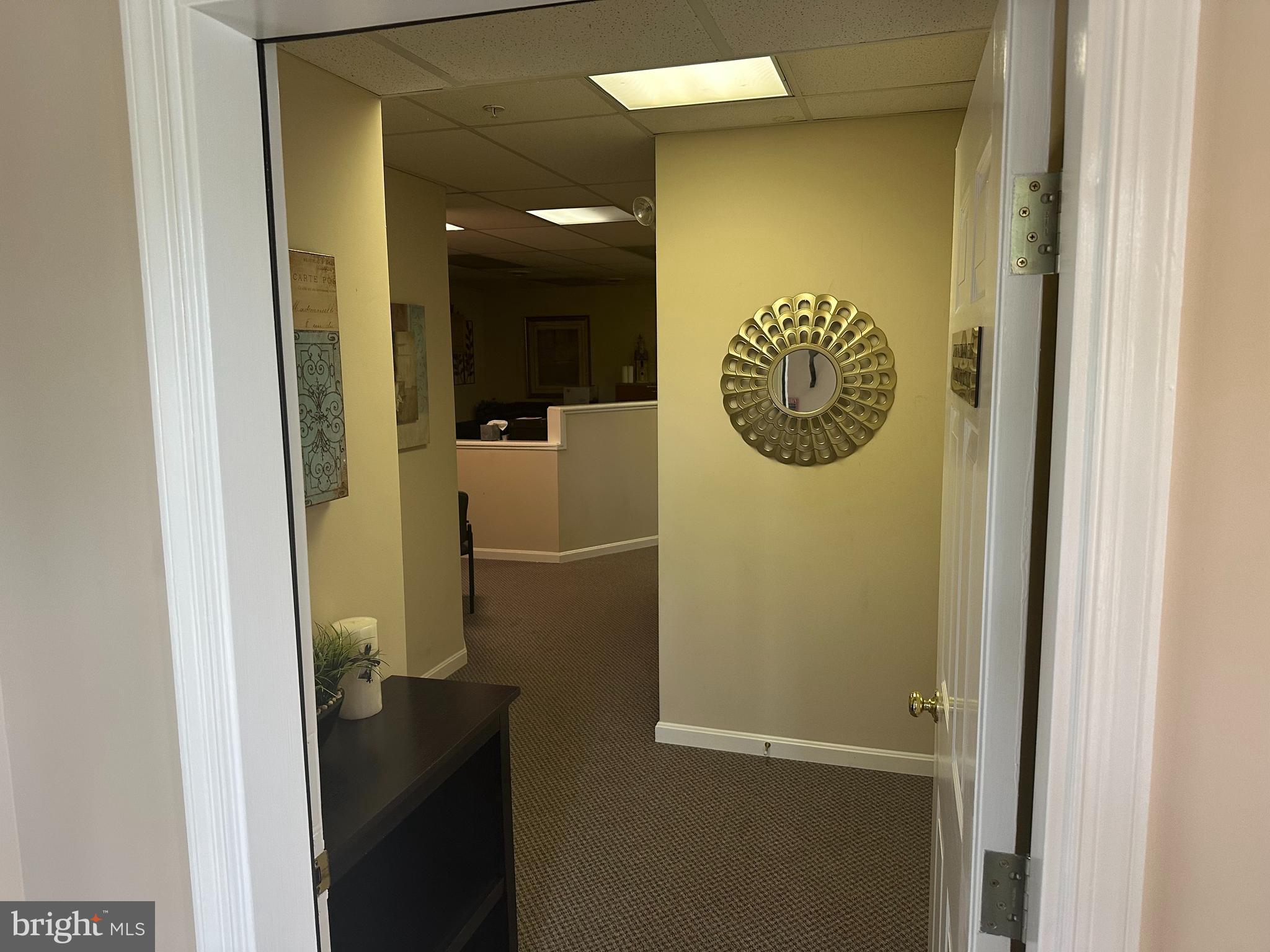 3675 PARK AVENUE 101