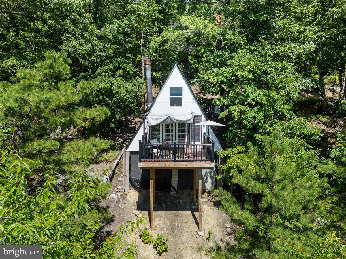 403 STAG TRAIL