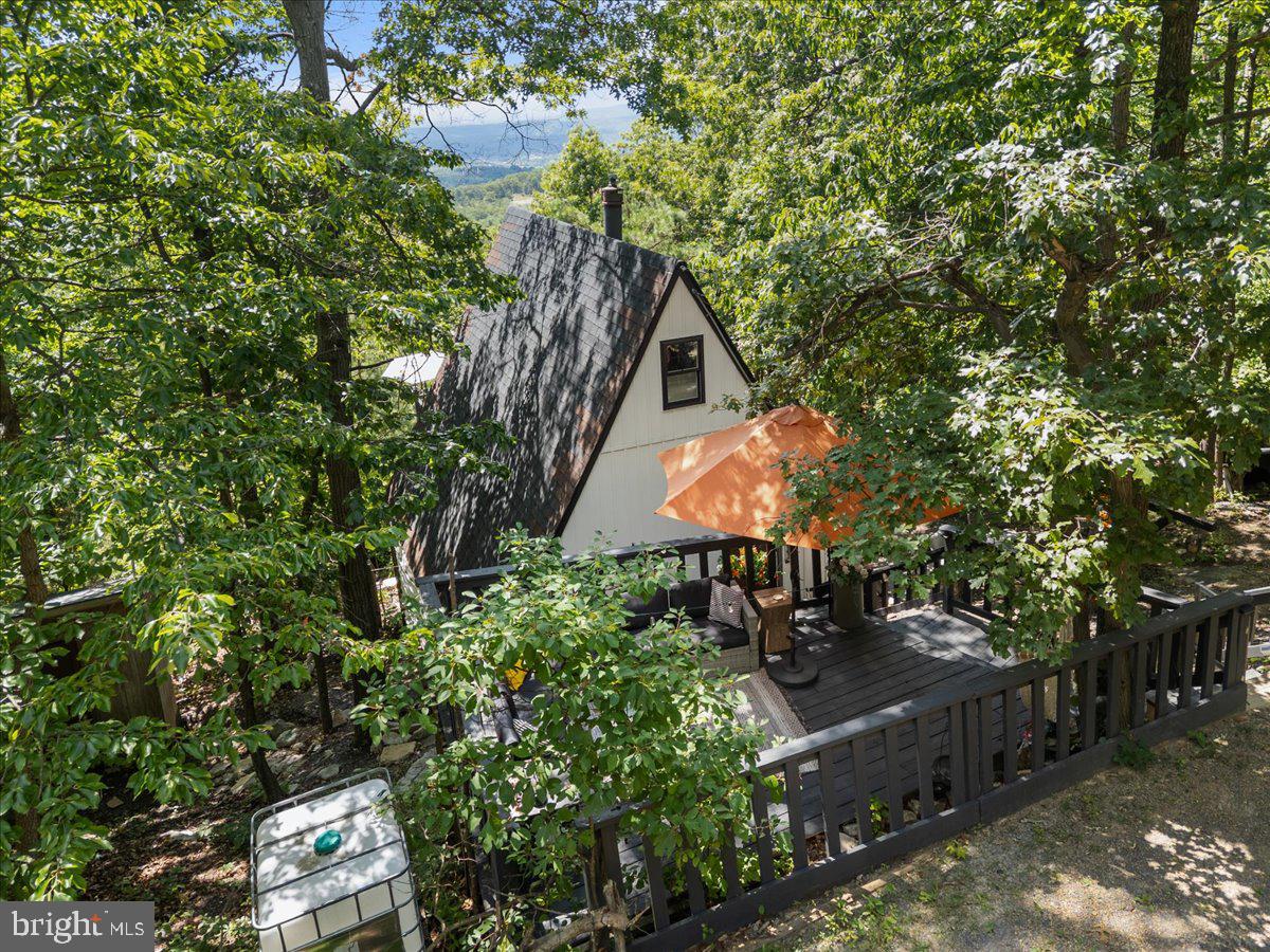 403 STAG TRAIL