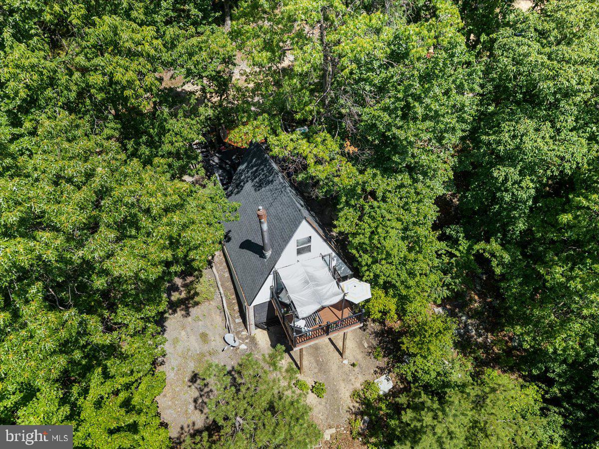 403 STAG TRAIL