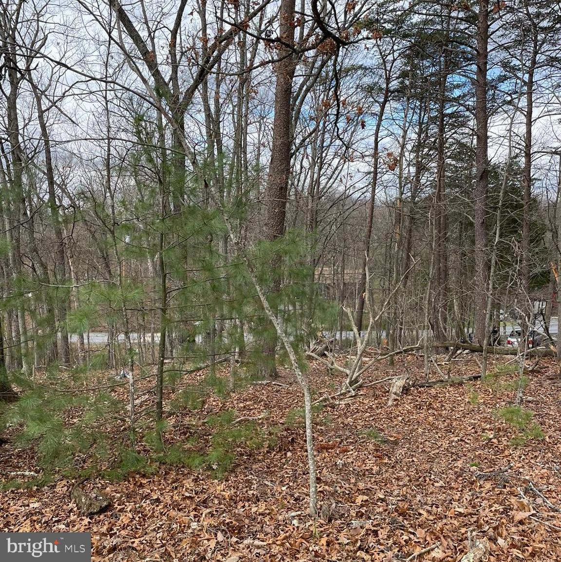 LAKE HOLIDAY ESTATES - Land