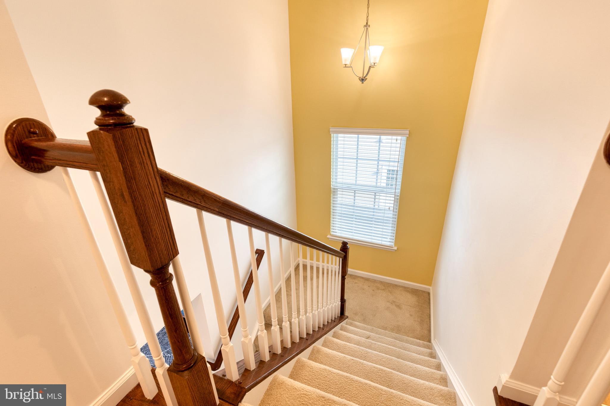 PATAPSCO RIDGE - Residential