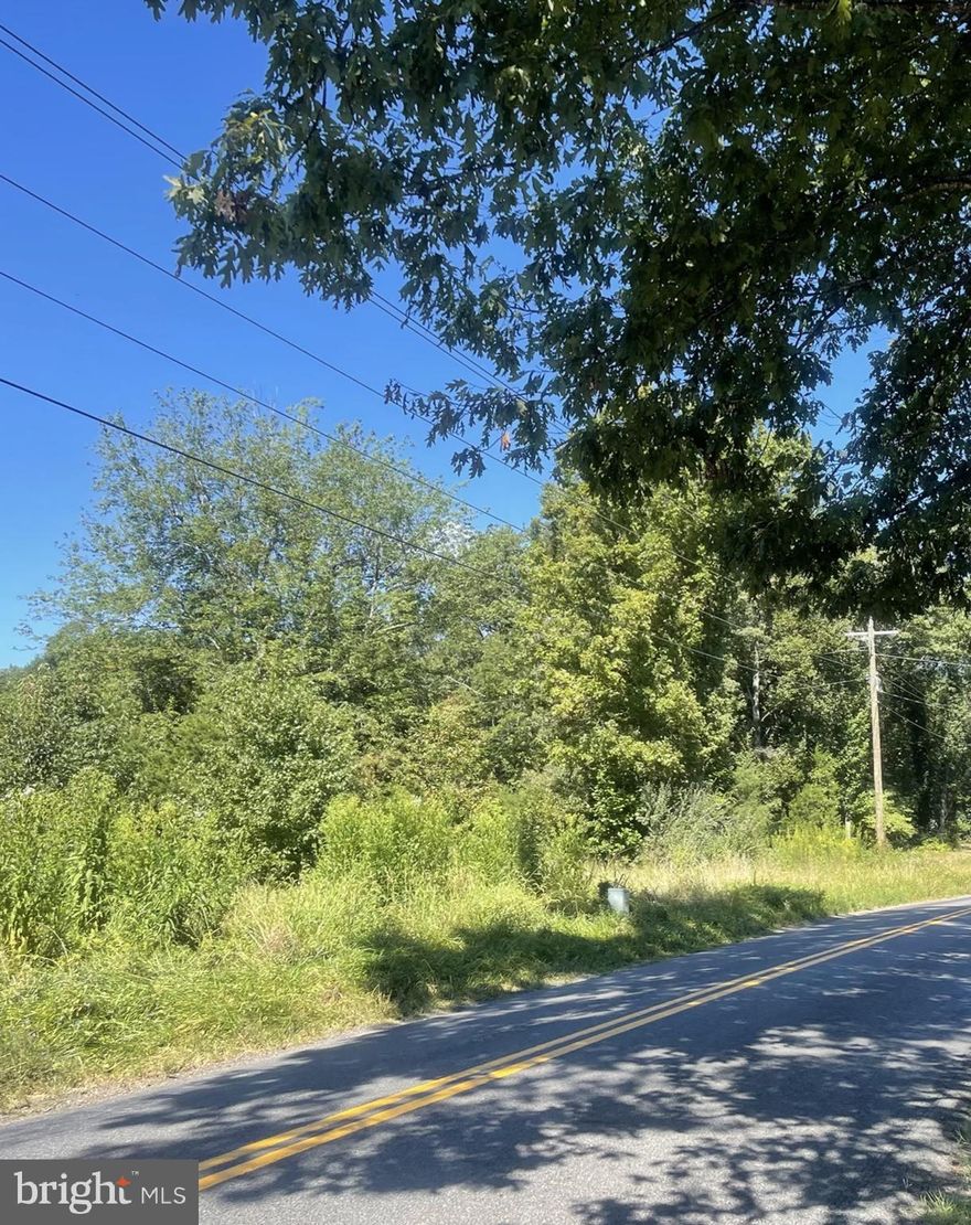 Price Adjustment!  Build your dreamhome on this 10 acre lot! Great location 20 minutes to Fredericksburg convenient to Northern Virginia and 1.5 hours away from Washington, DC.