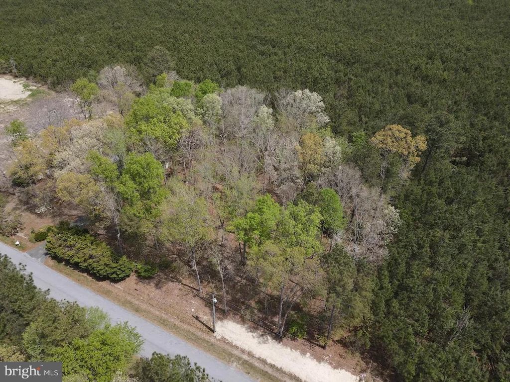 Photo of Parcel D Short Road, HARBESON, DE 19951 (MLS # DESU2109978)