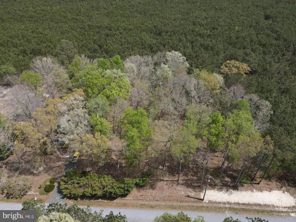 Photo of Parcel D Short Road, HARBESON, DE 19951 (MLS # DESU2109978)