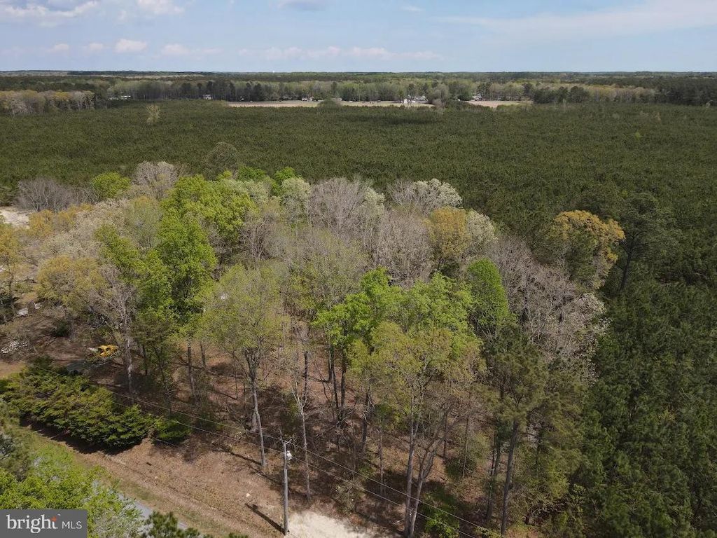 Photo of Parcel D Short Road, HARBESON, DE 19951 (MLS # DESU2109978)