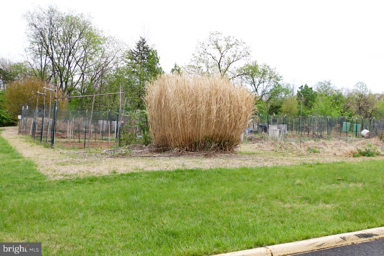 POINT OF WOODS - Residential