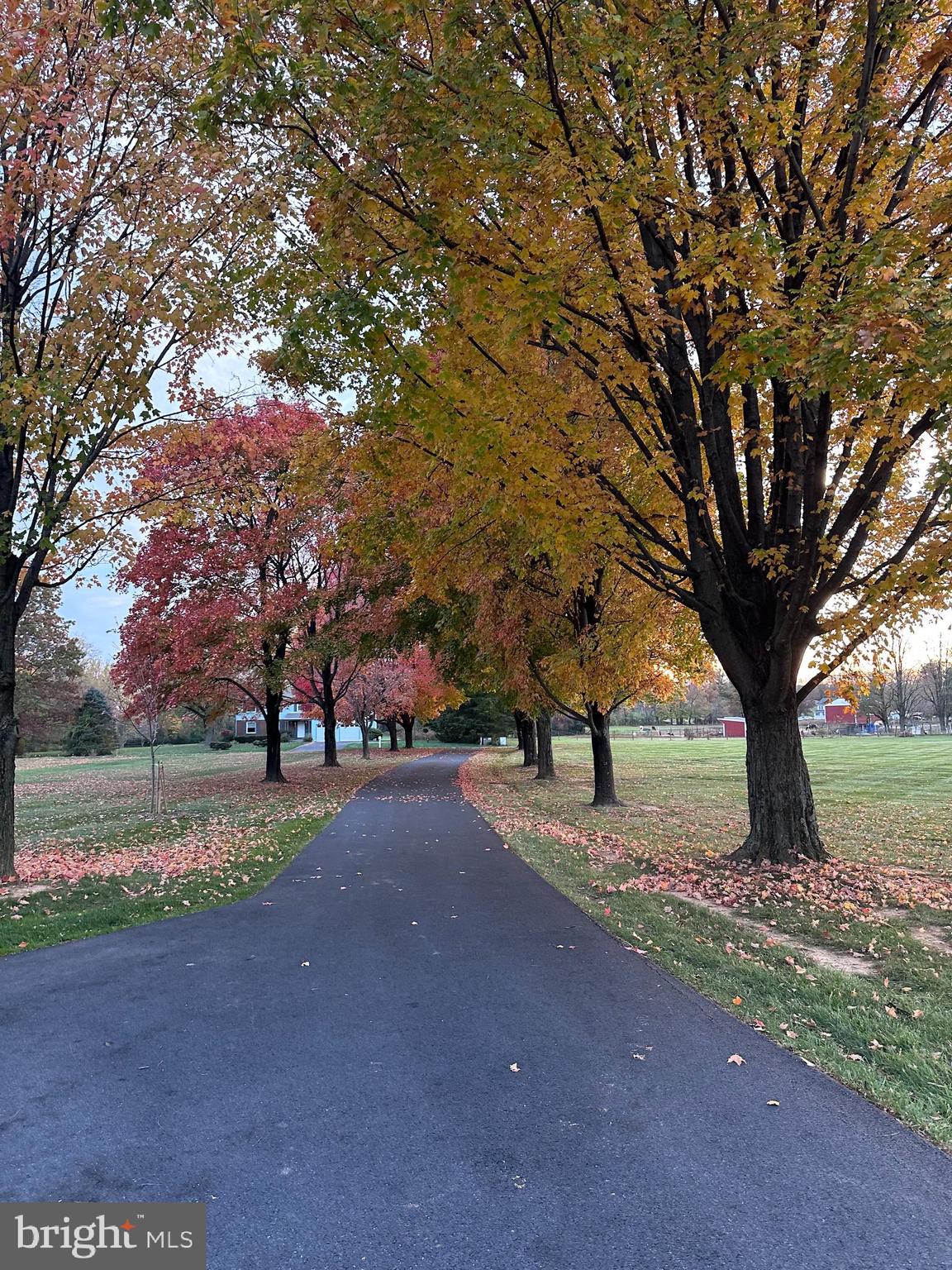 WEST FREDERICK HEIGHTS - Residential