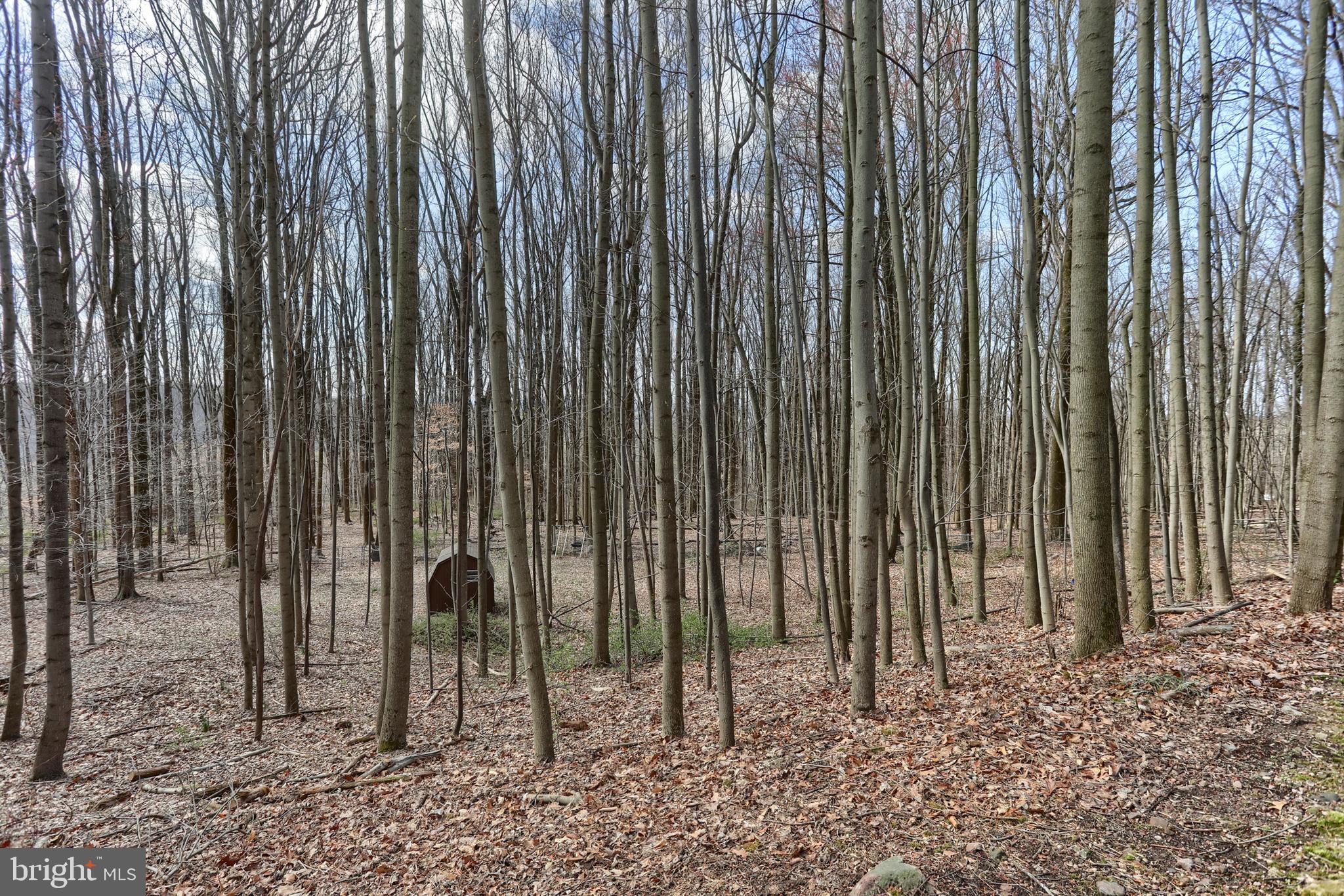 SPRINGHILL ACRES - Residential