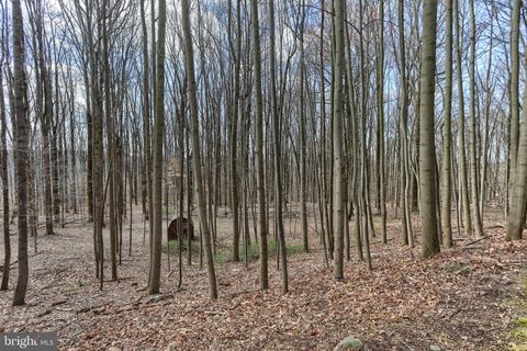 listing image 50