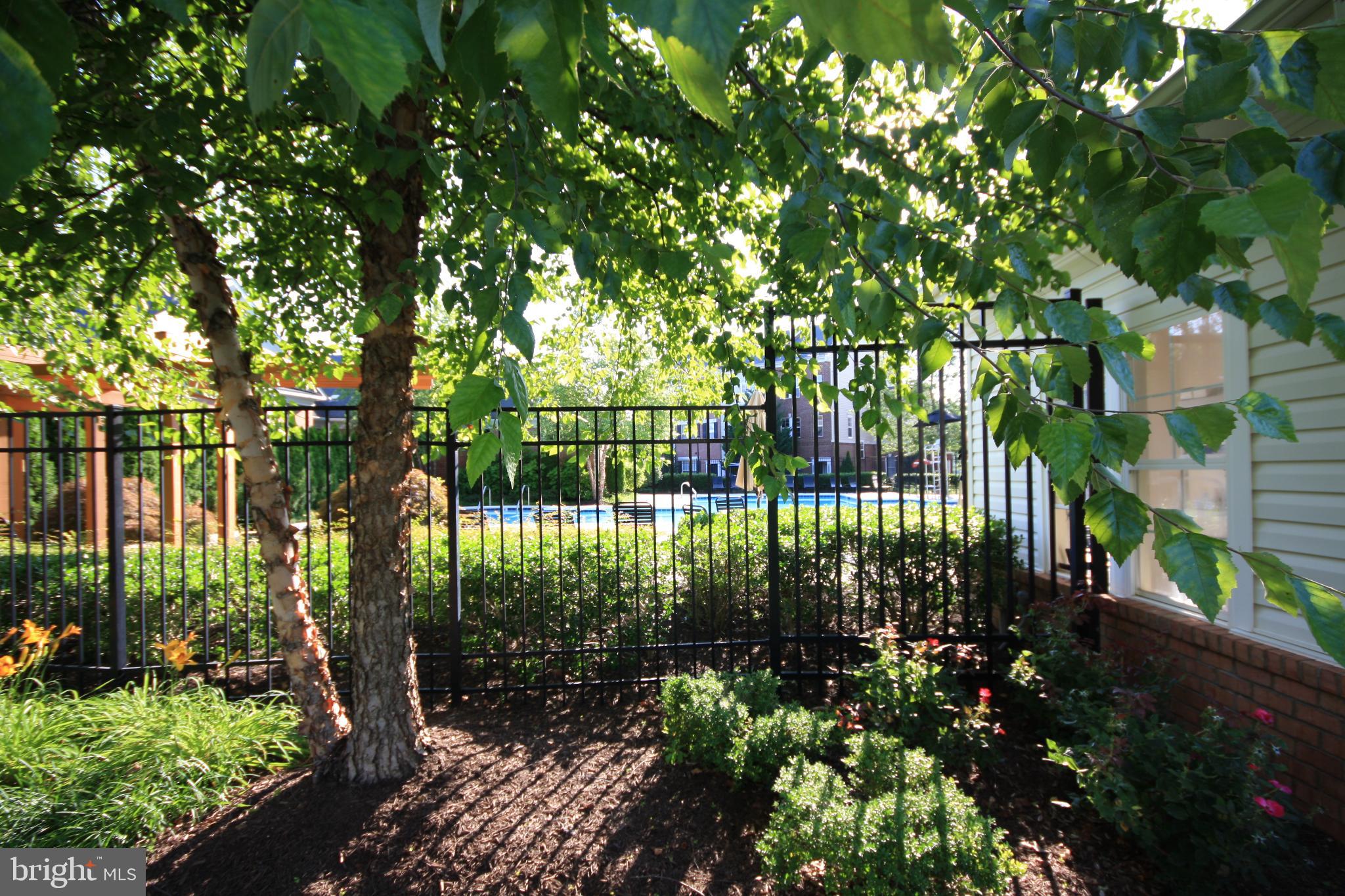 SUMMERFIELD - Residential Lease